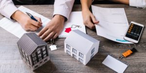 The latest innovations and trends - blog from CORAZÓN